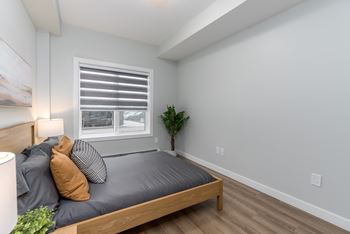 A bedroom with a bed, pillows, a nightstand, and a plant.